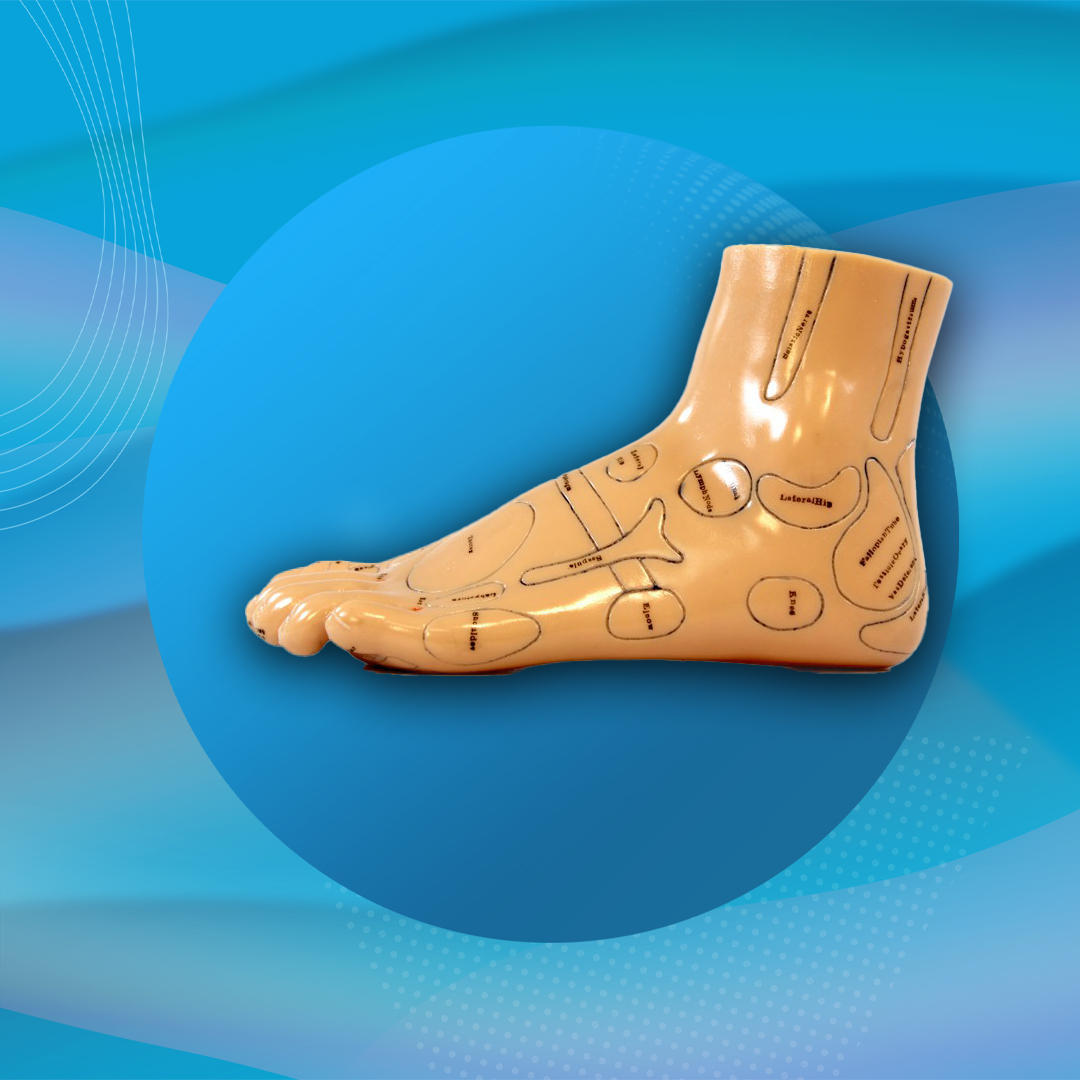 Kit-Piedi-Anatomici02